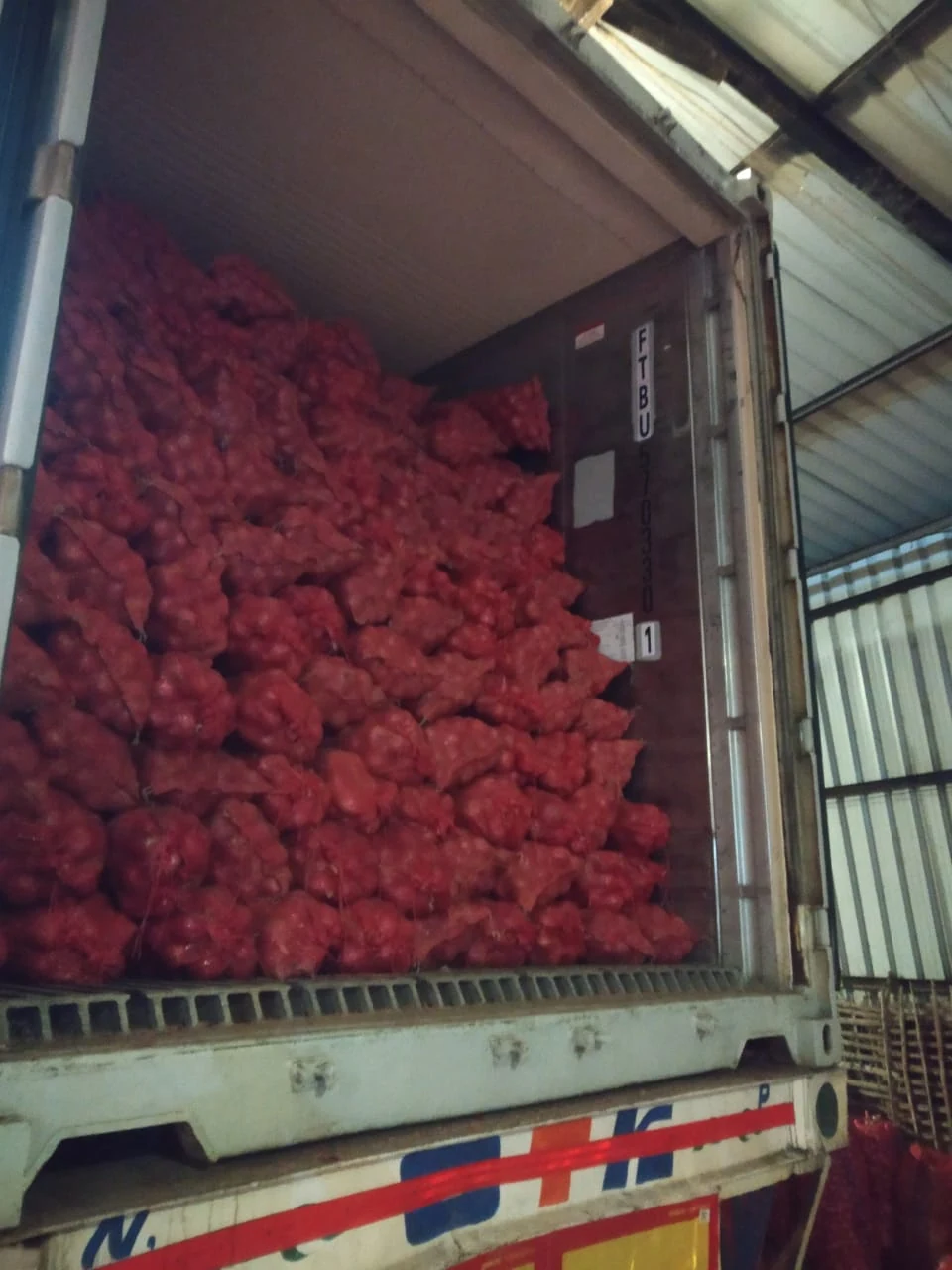 Onion bags packed inside a container