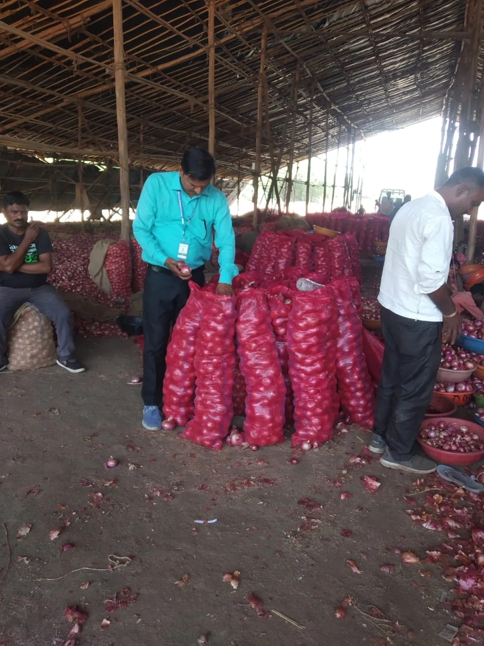 AMGS onion sourcing and quality inspection
